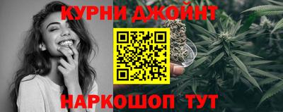 сатива Обнинск