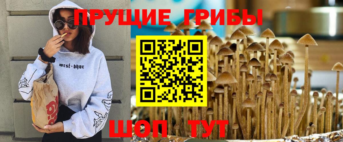Галлюциногенные грибы Cubensis  Псилоцибиновые грибы прущие грибы  продажа наркотиков  Рассказово  Вход с VPN 