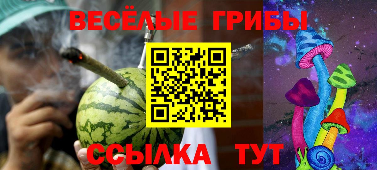 Галлюциногенные грибы Cubensis Рассказово